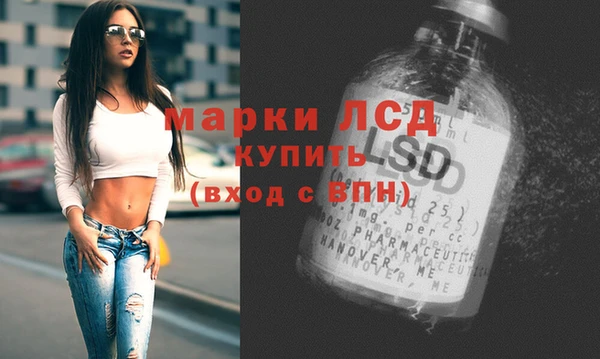 гидропоника Горняк